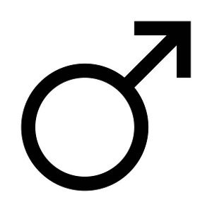 Male life