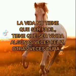 yo el Brazyita 