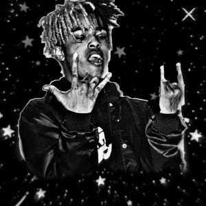 wilmer 123pro