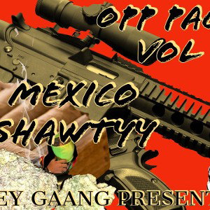 Mexico Shawtyy - Mob Hit 