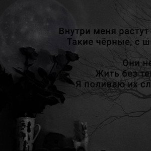 БЕЛАЯ ЗАВИСТЬ