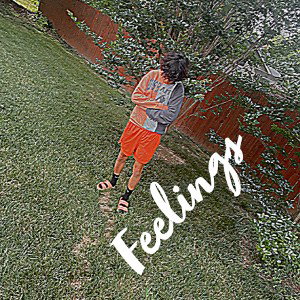 Feelings