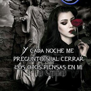 tu his