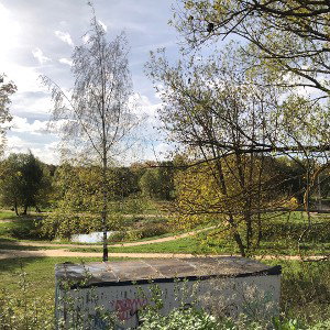 осенний фрислайл в парке