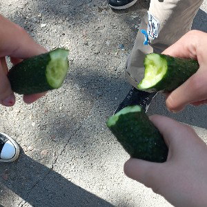 деревня микс 