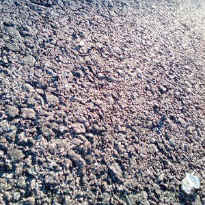 FM_Michael_02242022_042320.3gpp