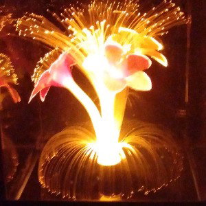 light bearer