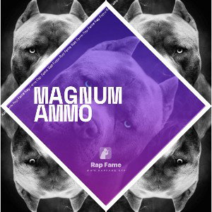 Magnum Ammo