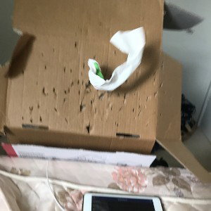 Knocked Off (13:22:20)