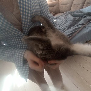опа гамна стайл 