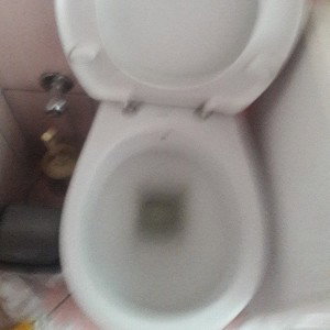 Sıçmak(ft.Alipap750)