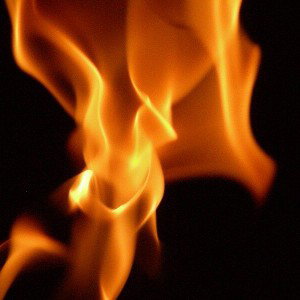 flya den dam panties on fire