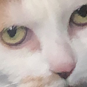 fuckin that pussy (freestyle)