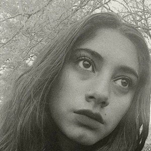 yoli solo 16 