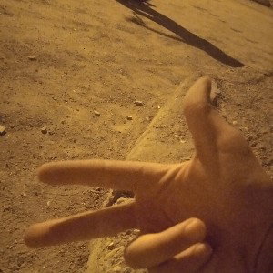 asla satma