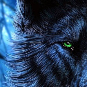 LONEWOLF