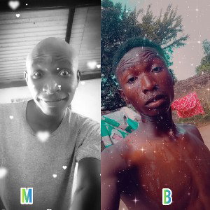 Young bibo Zm Freestyle 1 🔥