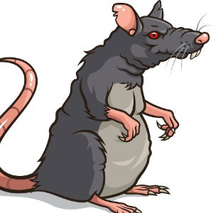 MOUSE TRAP 