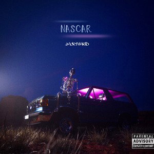 nascar 