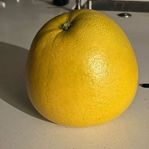 fruit