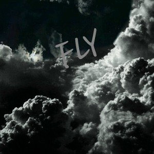 Fly