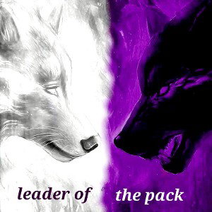 leader of the pack 