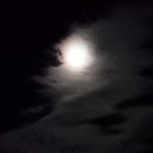 Yvng vN -  I love the lord