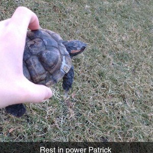 R.I.P Patrick 