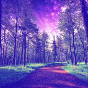 Leo my life  (Slowed + Reverb)