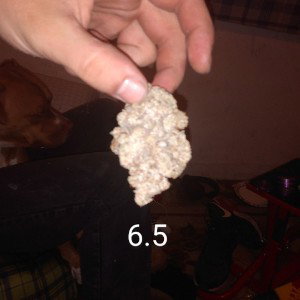 stoners song