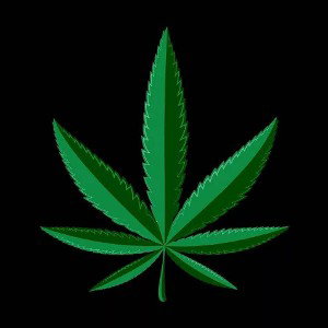 420😵‍💫