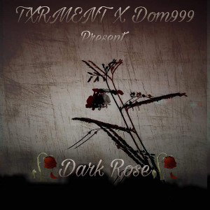dont need u ft dom 999 prod by David Linhof