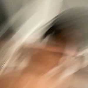 Speedthru88