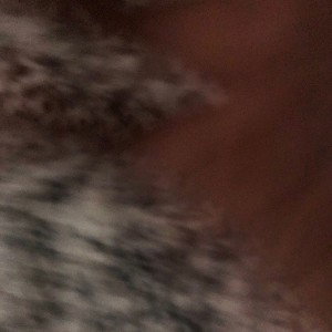 CALIFONIA HIGH ft. Presco (16:28:30)