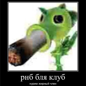 noze
