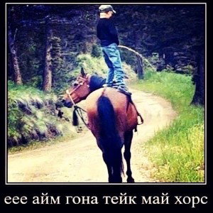 freestyle 