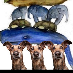 хасл