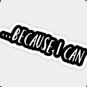 Because I Can