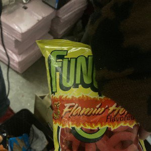Fun guy