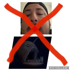 Maui Diss