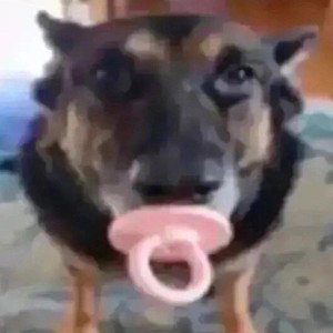 motherfucker