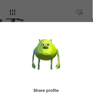 Career 