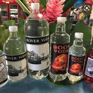 Rover vs Vodka 