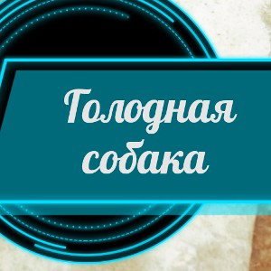 голодная собака 