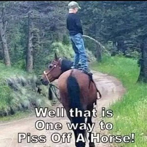 ANOTHER WAT TO PISS OFF 