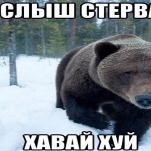 это лучшей Дэнс мой пенсил хочет.....