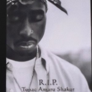 Pac Like 96"