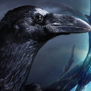corbeau noir (remix chill) 