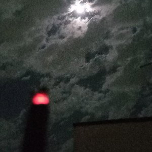 ° - TempO