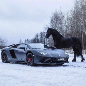  Lamborghini 